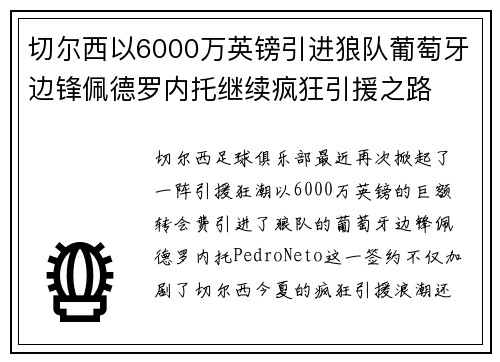 切尔西以6000万英镑引进狼队葡萄牙边锋佩德罗内托继续疯狂引援之路